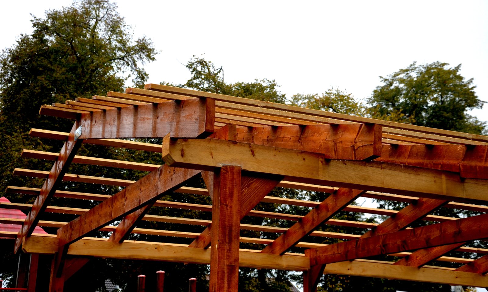 V poletnem času pergola nudi prepotrebno senco